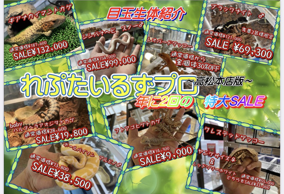 れぷたいるずプロ 夏の大感謝祭!!特大SALE!!